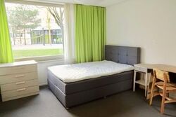 Paya Lebar Gardens (D19), Terrace #567987651